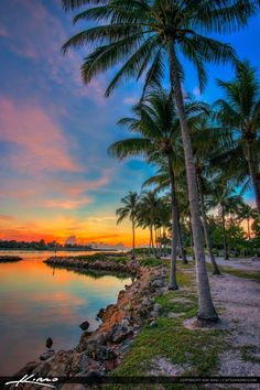 palm trees line the shoreline as the sun sets over the water in this tropical scene