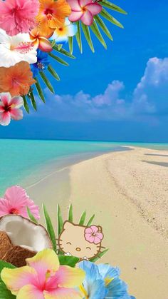 an image of a beach with flowers and hello kitty on it