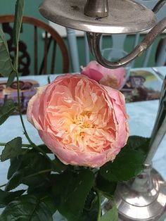 a pink flower sitting in a vase on top of a table next to a lamp