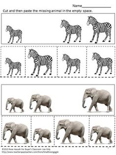 worksheet with pictures of zebras and elephants in the same space for each individual to see