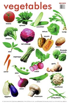 an image of vegetables that are on the cover of a book with words in english