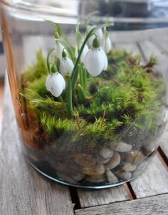 a glass vase filled with white flowers on top of a wooden table