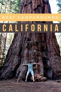 a man standing in front of a large tree with the words best campgrounds california on it