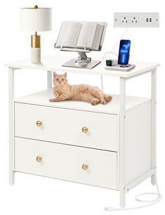 an orange cat laying on top of a white desk