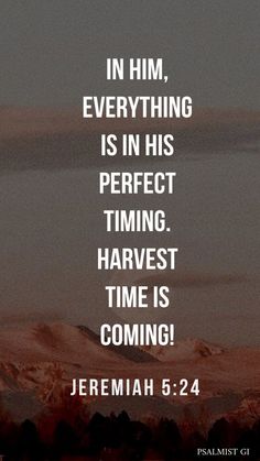 an image with the words in him, everything is in his perfect time, harvest time is coming