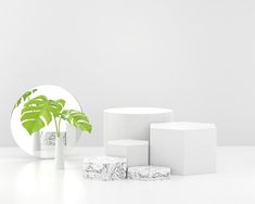 three white vases with green plants in them on a table next to a mirror