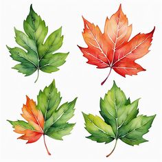 Leaf leaves Fall Clip Art, Pumpkin Autumn, Textile Pattern Design, Watercolor Ideas, Textile Pattern, Landscape Trees, Textile Patterns