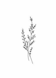 Small Wild Flowers Tattoo, Minimalist Mother Tattoo, Simple Earthy Tattoos, Branch Drawing Simple, Vervain Flower Tattoo, Small Wildflower Tattoo Simple, Minimal Wildflower Tattoo, Mens Flower Tattoo, Wildflower Line Drawing Tattoo Ideas