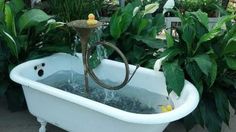 a bathtub filled with water next to plants