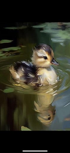 a duck floating on top of a body of water