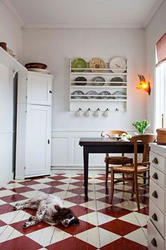 a dog laying on the floor in a kitchen