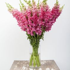 a glass vase filled with pink flowers on top of a wooden table next to a white wall