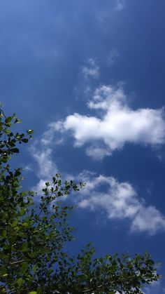 the blue sky is filled with clouds and green leaves