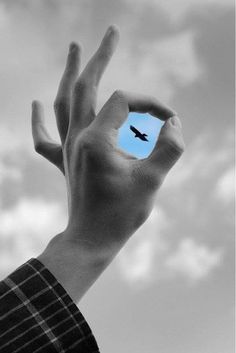 a person's hand reaching up into the sky with a bird flying in it