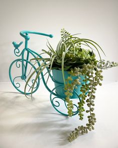 a blue bicycle planter with plants in it