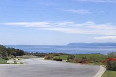 an empty road with the ocean in the distance and trees on both sides, along with red flowers