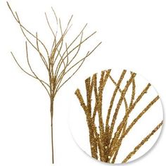 gold glittered branches on a white background