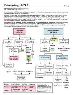 Nurse Study Notes, Care Management, Nursing Schools, Pulmonology, Respiratory Care, Nursing School Survival, Chronic Obstructive Pulmonary Disease, Respiratory Therapy, Nursing School Tips