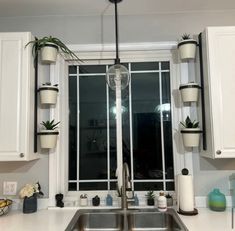 a kitchen sink under a window with potted plants hanging from the windowsills