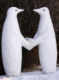 two white penguins standing next to each other in the snow with trees behind them and bushes