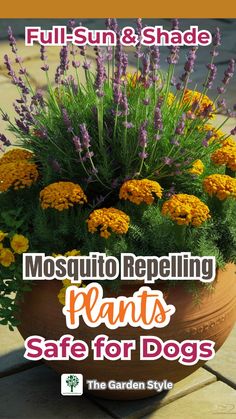 a potted plant with yellow and purple flowers in it, text reads mosquito repelling plants safe for dogs the garden style