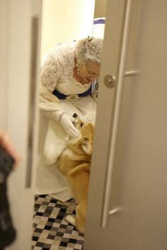 an older woman is taking a selfie in the mirror with her dog, who is laying down on the floor