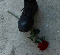 a person's black shoes and a red rose on the ground