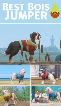 the animated dog is wearing sweaters and standing in front of some other dogs,