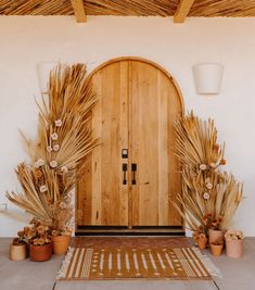 an entrance with plants and potted plants on the floor next to it, in front of a wooden door