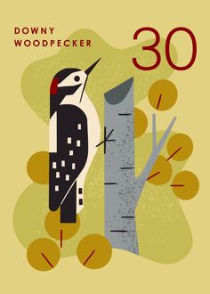 30th Birthday, Metal Poster Displate, Aspen, Metal Posters Design, Tea Towels, Metal Posters, Poster Print, Google Images