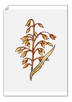 a drawing of a plant with yellow leaves