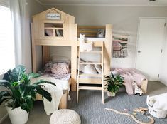 a bedroom with bunk beds and plants in the corner on the carpeted flooring