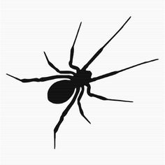 a black and white image of a spider on a white background with the word,