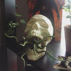 there is a skull with an octopus on it's head next to some plants