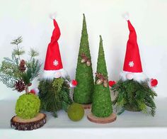 three small christmas trees with santa hats on them, surrounded by evergreen cones and pine cones