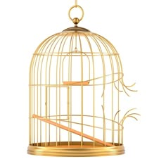 a golden birdcage with a wooden stick in it