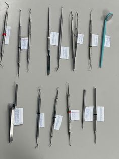 Dental Surgical Assistant, Dental Instruments Names, Dentistry Notes, Dental Notes, Dental Charting