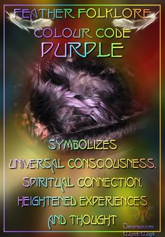 Purple Feathers, Purple Feather, Wicca Witchcraft, Color Meanings, Color Magic, American Spirit