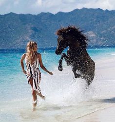 a woman is playing with a horse in the water while another person watches from the beach