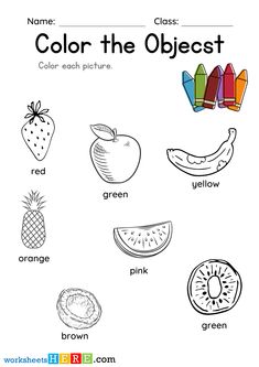 the color the object worksheet