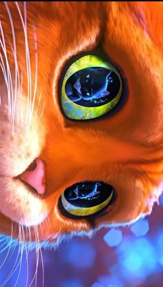 an orange cat's eyes are reflected in the image