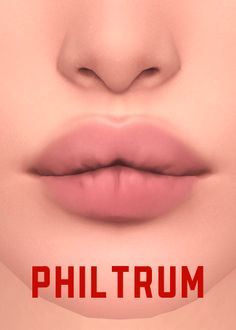 a woman's lips are shown with the word philtrum in red on it