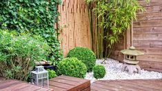 an outdoor garden with wooden decking and bamboo fenced in area, surrounded by greenery