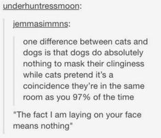 a text message that reads,'the fact i am lying on the same room as you