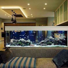 an aquarium in the middle of a living room