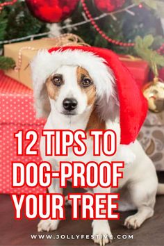 a dog wearing a santa hat with the words 12 tips to dog - proof your tree