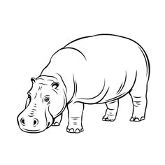 a hippopotamus standing in the grass coloring page