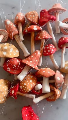 many different types of mushrooms on a table