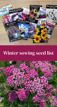 Winter sowing seed list Winter Sowing Seeds Zone 6, Flower Seeds To Plant In Fall, Seeds To Plant In Fall, Planting Flower Seeds, Winter Sowing Seeds, Fall Planting Perennials, Hardy Annuals, Plant Parenting, Different Types Of Plants