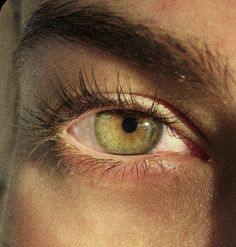 Eye Colours Aesthetic, Green Eye Photography, Aesthetic Eye Colors, Pretty Green Eyes Aesthetic, Hazel Yellow Eyes, Yellow Hazel Eyes, Green Eye Reference, Green Eyes With Gold Flecks, Green Gold Eyes